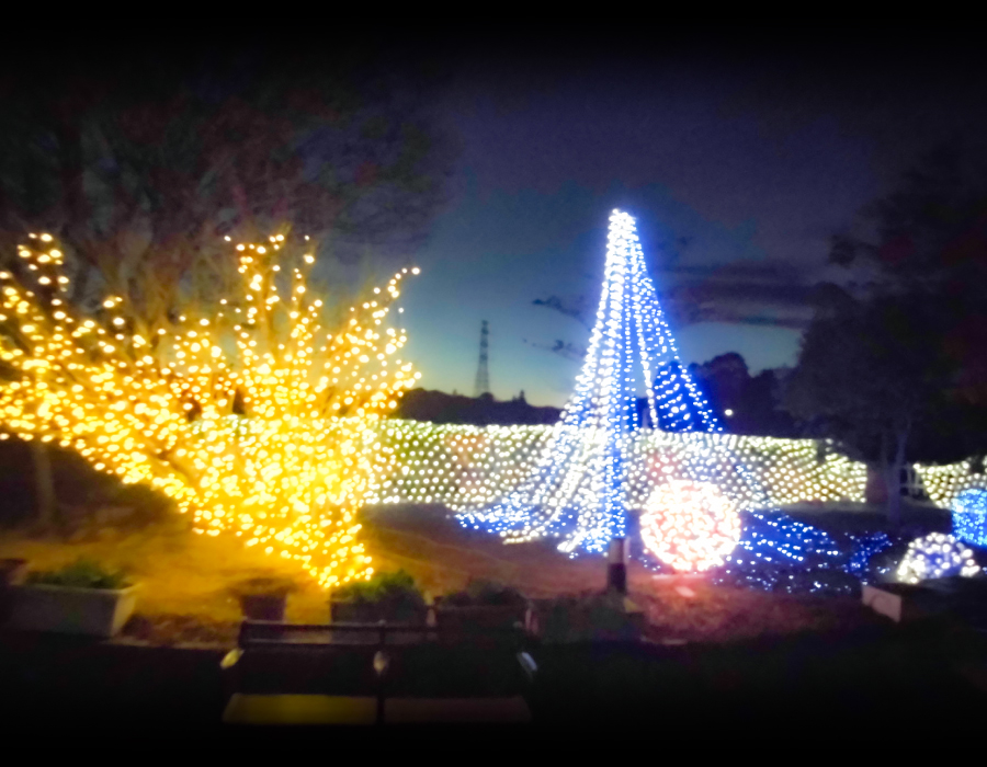 亀山サンシャインパークイルミネーション