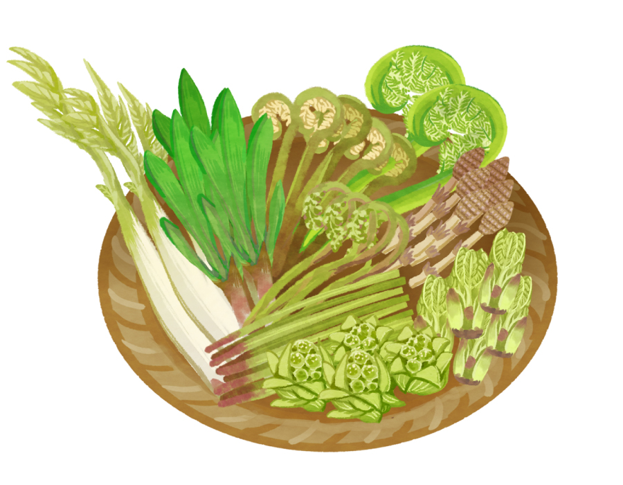 春の薬膳料理を作ろう