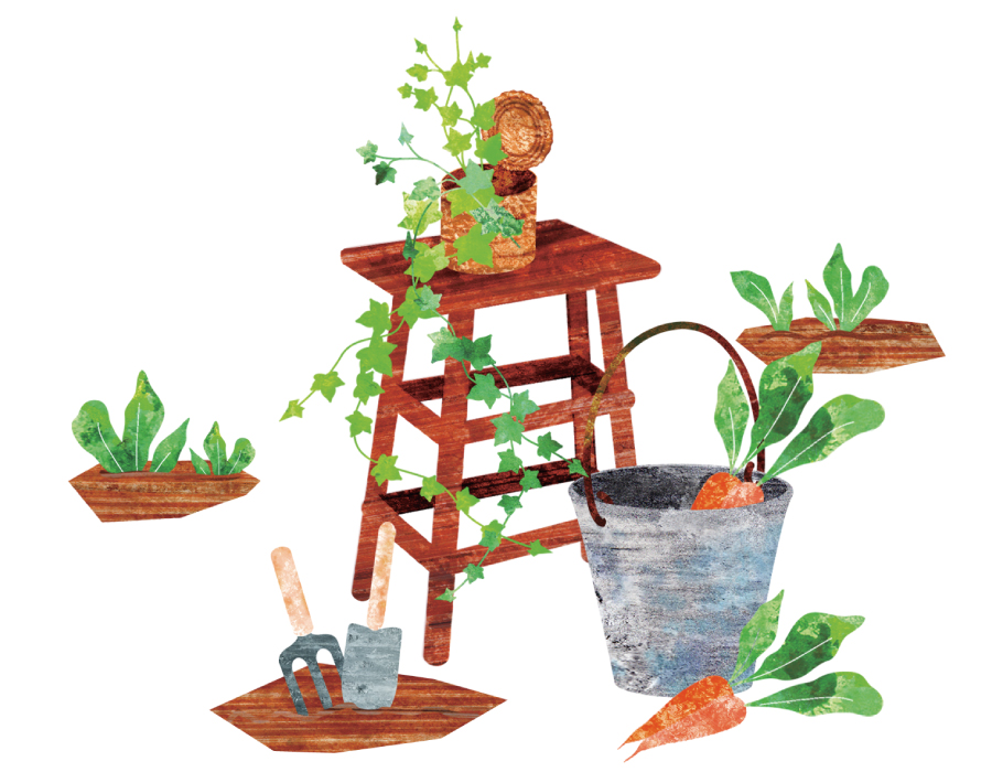 種の図書館 種の図書館