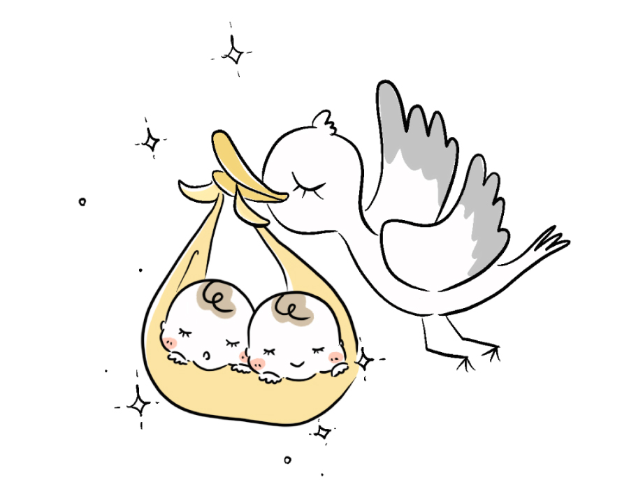 そらまめくらぶ