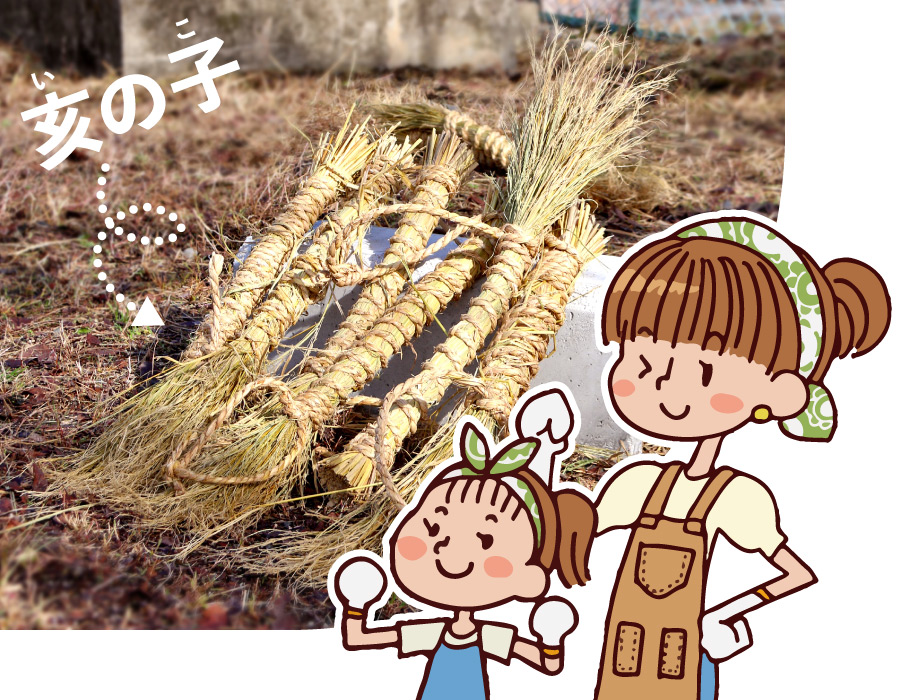 いのこ作りに参加しよう