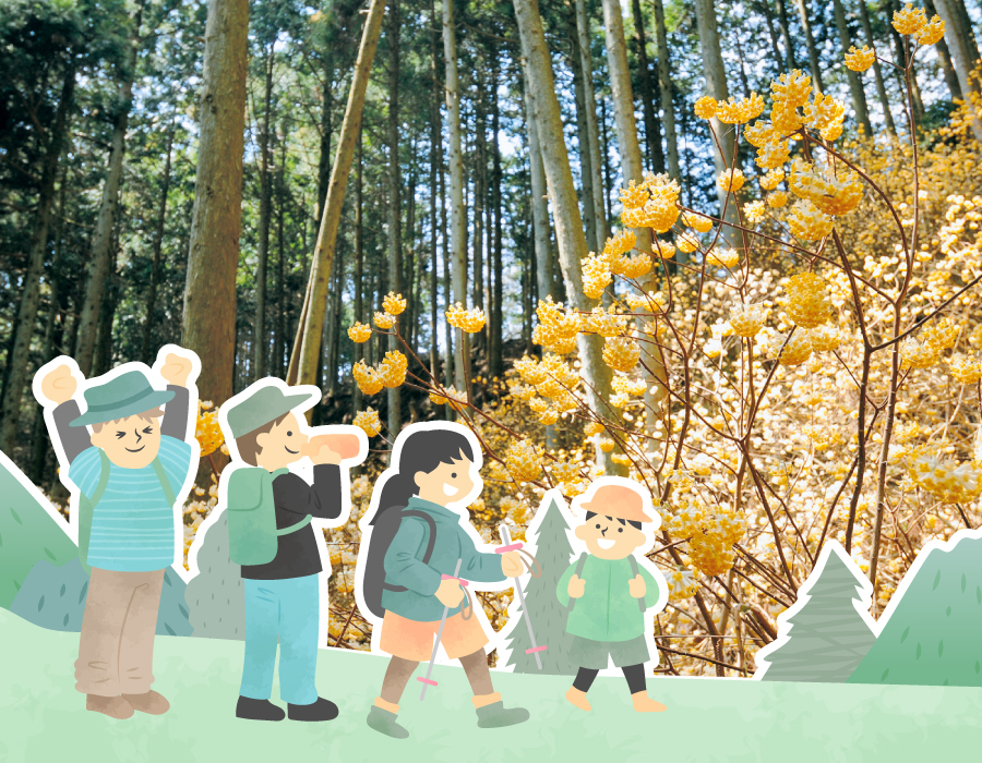 みつまたの森ウォーキング