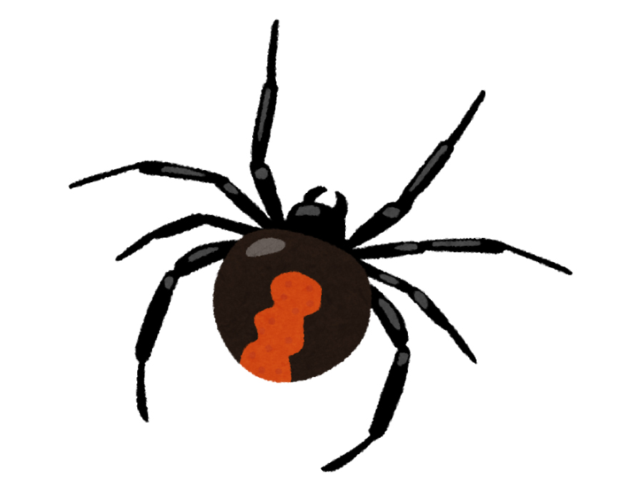 セアカゴケグモ