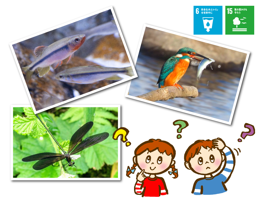 これなーんだ？