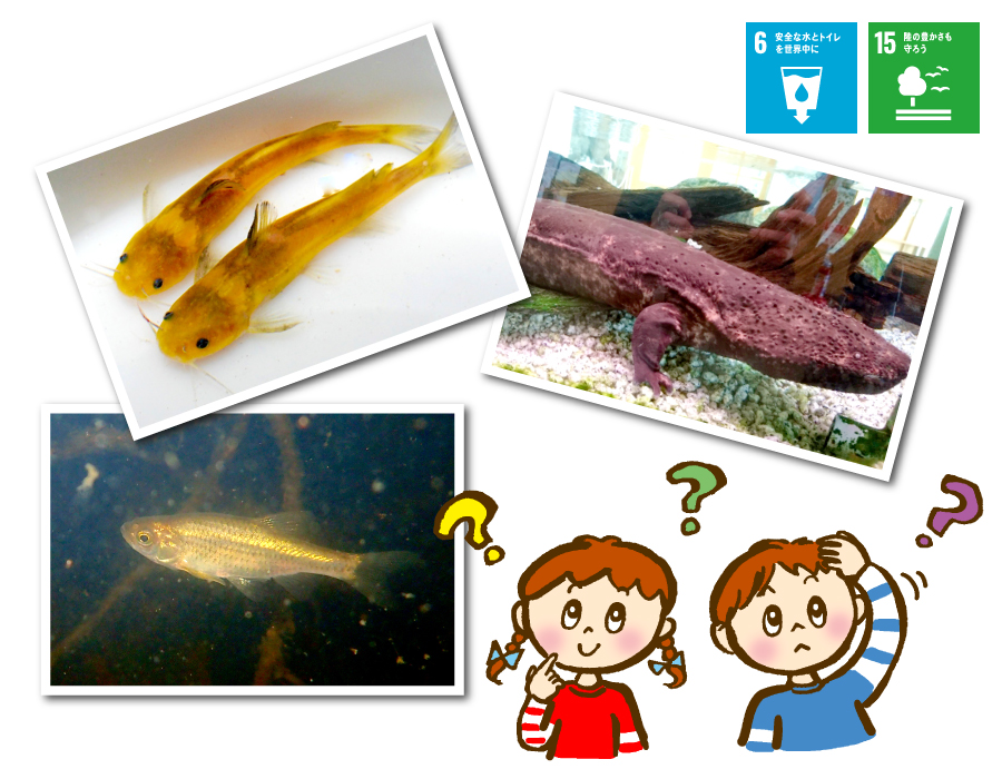 これなーんだ？