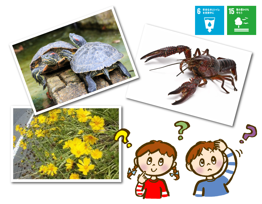 これなーんだ？