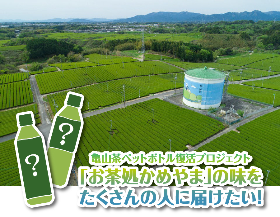 亀山茶ペットボトル復活プロジェクト