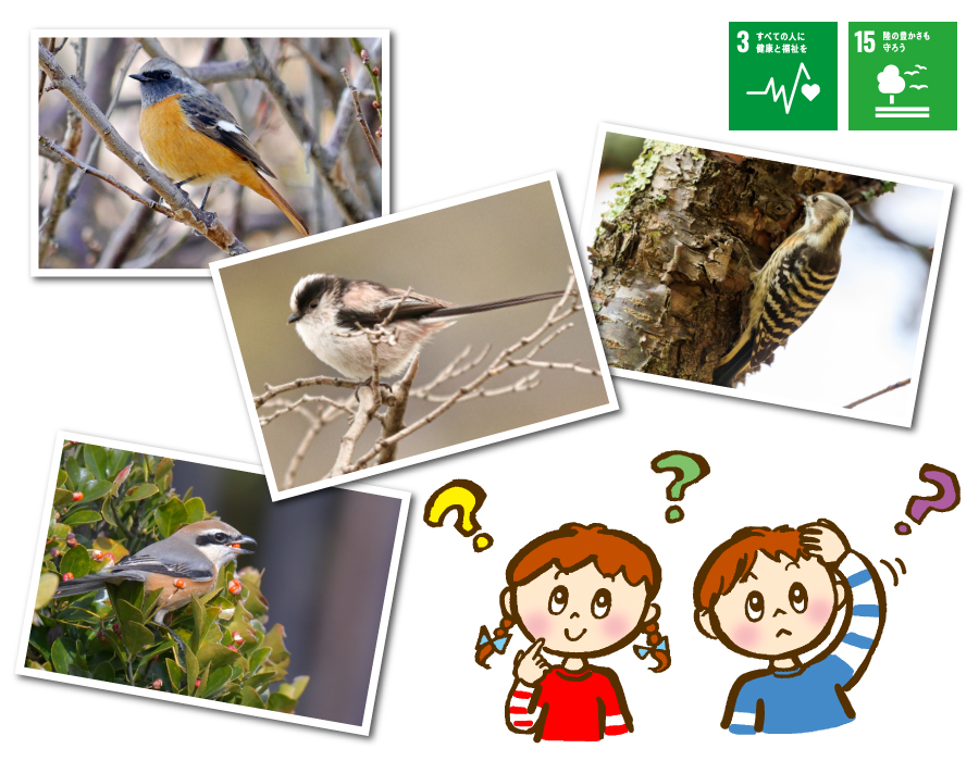 これなーんだ？