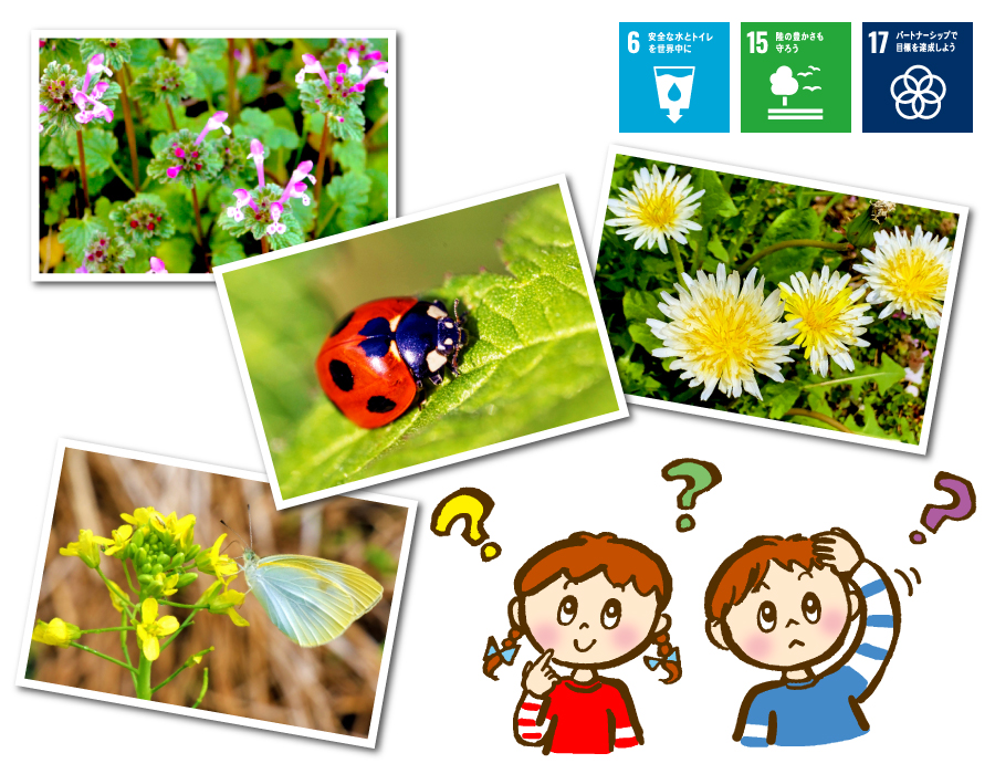 これなーんだ？