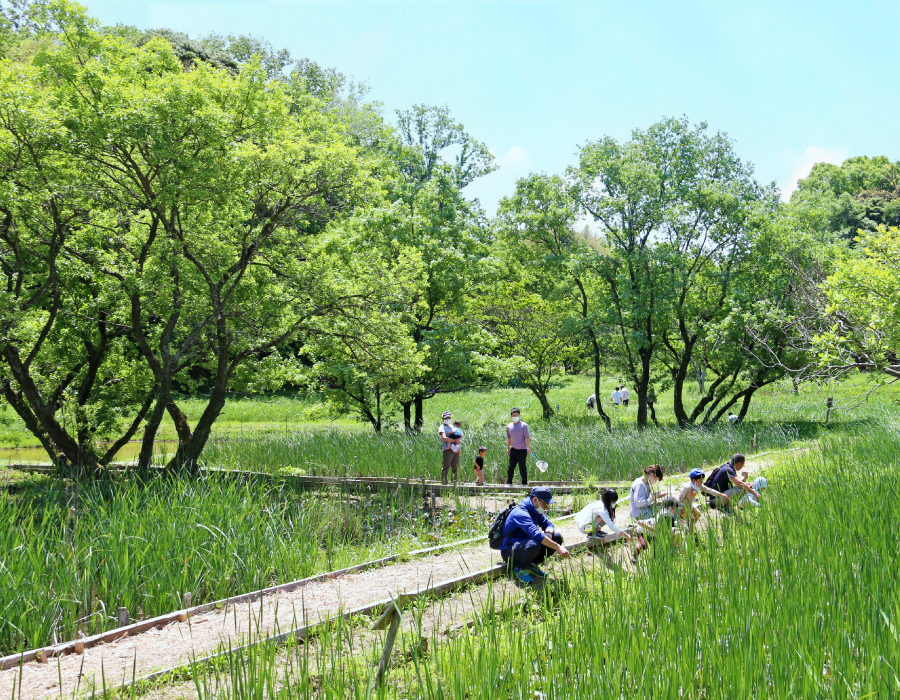 亀山里山公園「みちくさ」