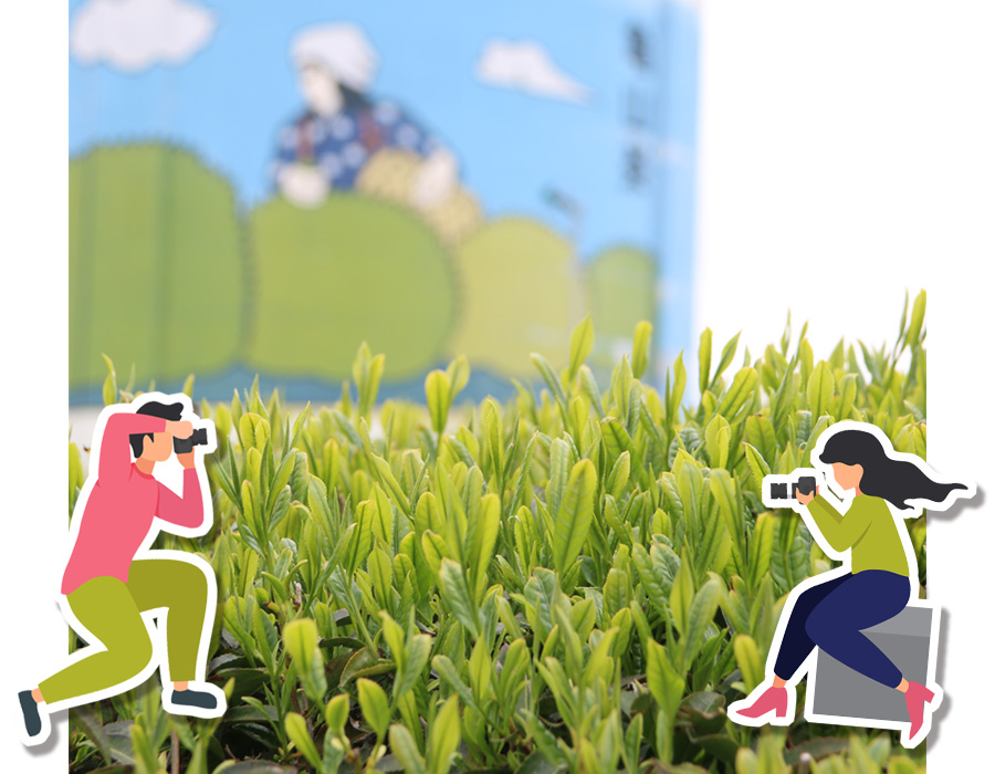 亀山青空お茶まつりフォトコンテスト