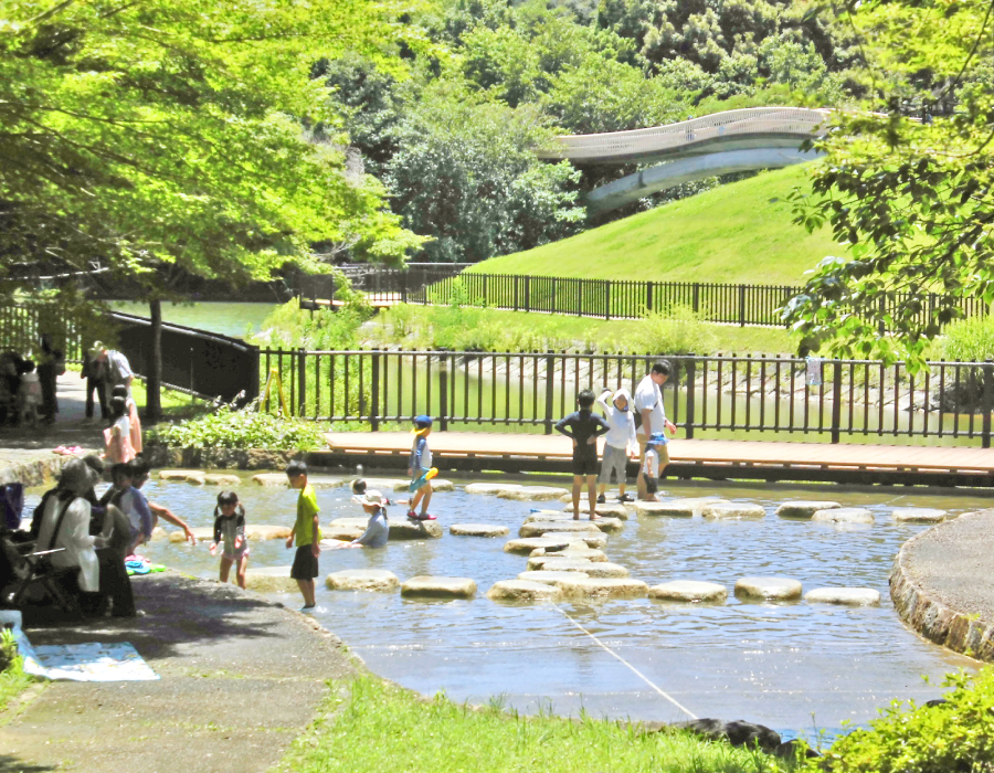 水の遊び場