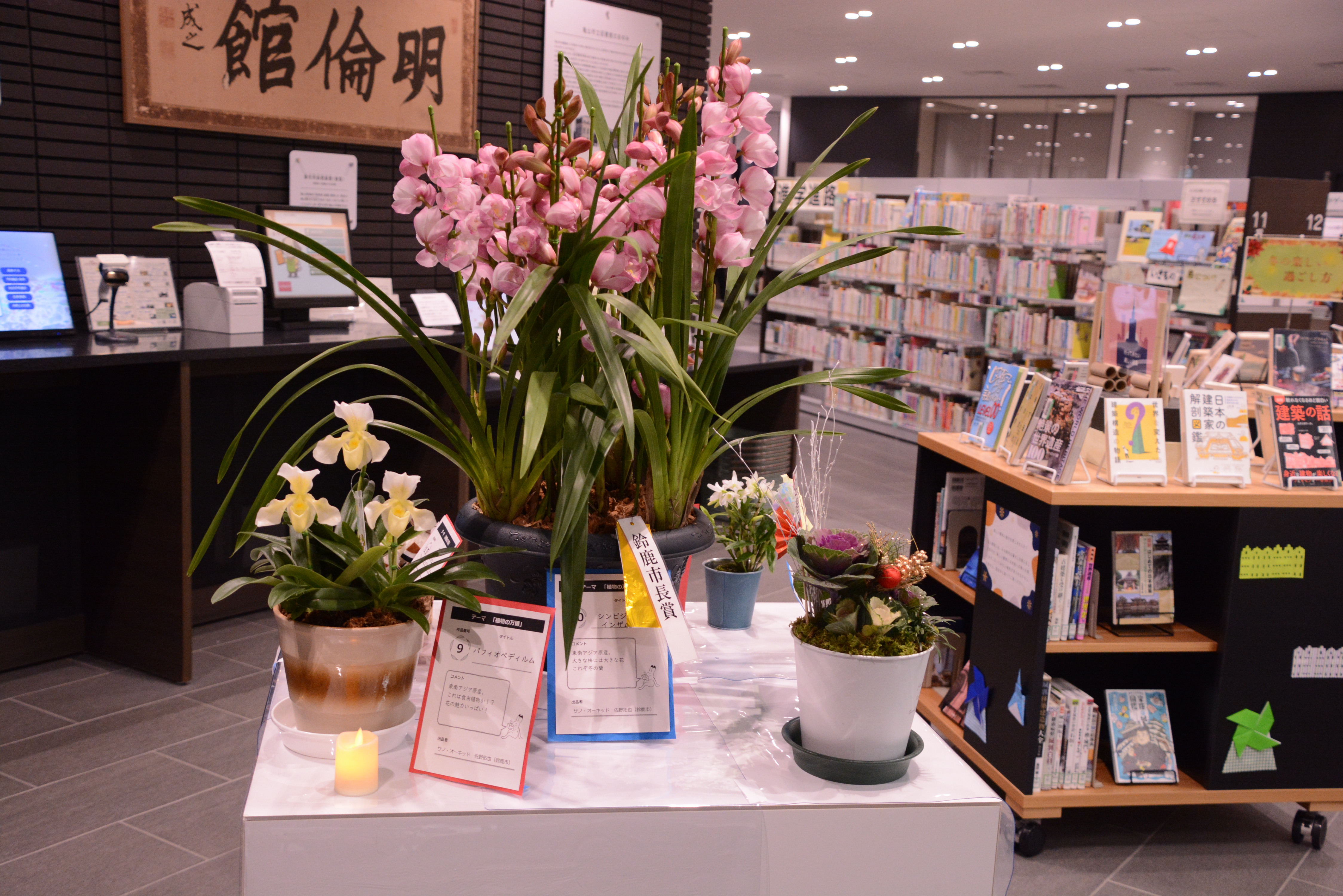 作品展示③ 作品展示③